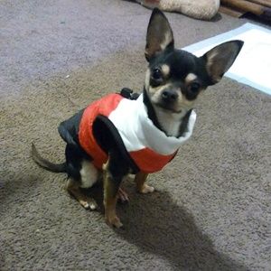 Meet your Posher, Kacy